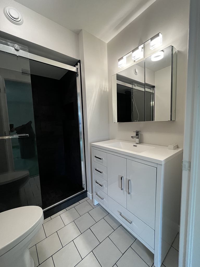 A bathroom with a single-sink vanity, toilet, and an alcove shower with a black tiled interior.